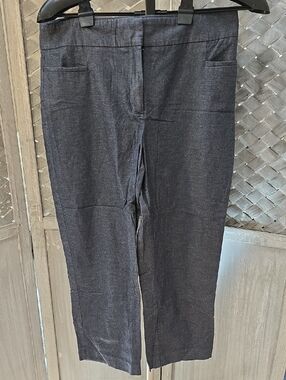 Ann Taylor Factory Navy Cropped Dress Pants